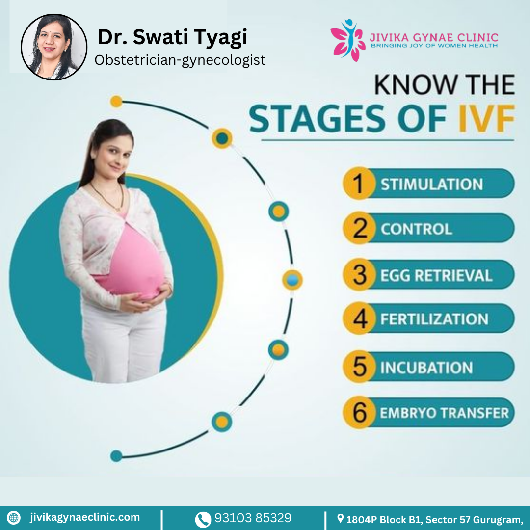 Infographic illustrating the stages of IVF, including a pregnant woman and a step-by-step process: stimulation, control, egg retrieval, fertilization, incubation, and embryo transfer.