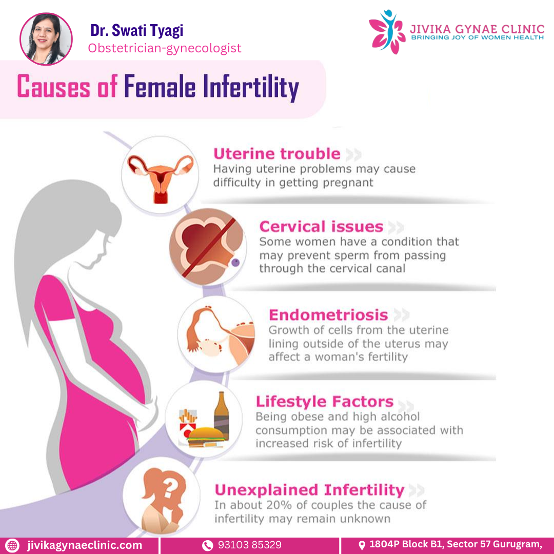 Infographic showing causes of female infertility, including uterine trouble, cervical issues, endometriosis, lifestyle factors, and unexplained infertility, with illustrations of each cause